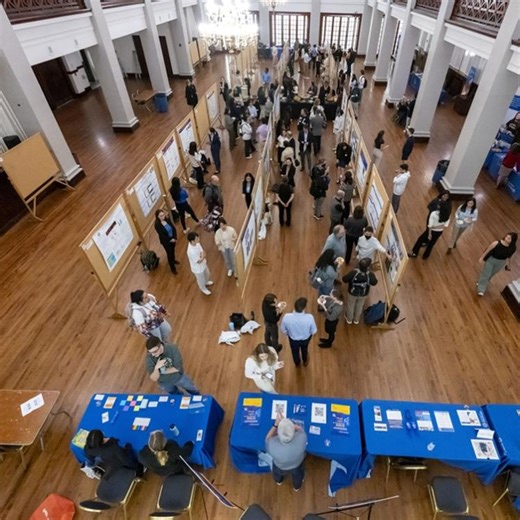 Department of History