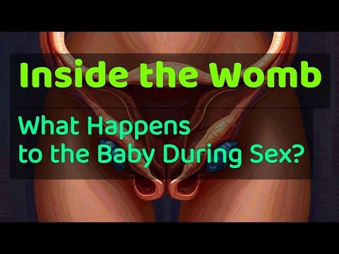 Inside the Womb: What Happens to the Baby During Sex?
