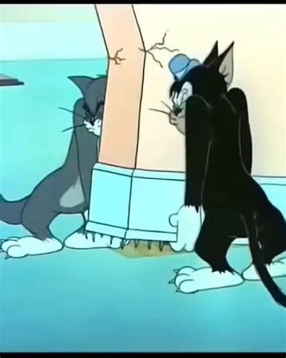 KIDS JOLLY TIME on Instagram: "This video is a sequence of clips from the classic Tom and Jerry short titled "Trap Happy," which was originally released on June 29, 1946. In this episode, Tom hires an expert mouse exterminator—a black cat named Butch—to help him catch Jerry. The clips show several iconic slapstick moments where Jerry outsmarts both cats. Key Moments in the Video: The Hammer Incident: Jerry uses a hammer to smash Tom’s foot. This causes Tom to let go of a wall he and Butch were p