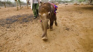 48K views · 6.4K reactions | A last-minute gift idea that gives hope...