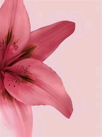 Exciting Pink Items for Your Back to School Haul