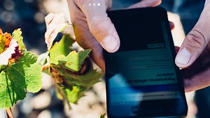 Internet of Wines: How this vineyard's smart sensors improve the vintage in your glass