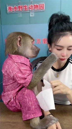 The baboon made me cry.#cute #adorably