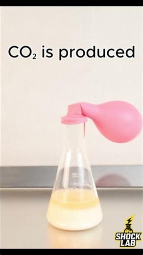 What happens when baking soda meets vinegar? 🎈🧪