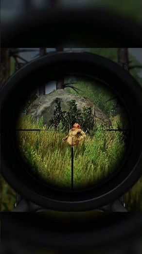 S.T.A.L.K.E.R. Anomaly - Carefree controller #stalkeranomaly #stalker2 #stalkergameplay