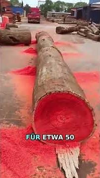 The world's most expensive wood costs 10,000 euros per kilo