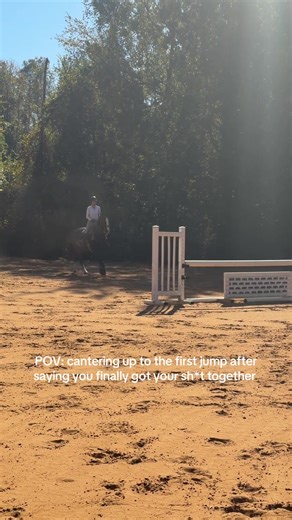 Cantering to the First Jump: Equestrian Adventures