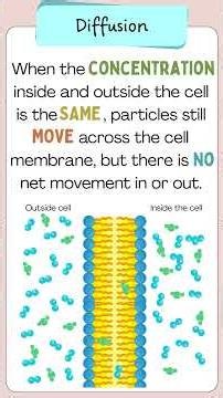 GCSE Diffusion