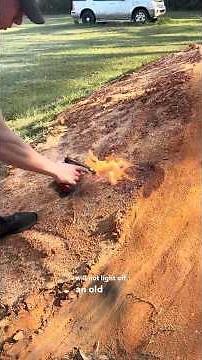 Gas in Your Diesel ?!?!