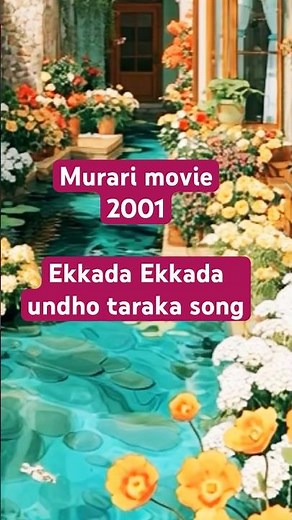 Murari movie-Ekkada Eekkada undho taaraka#telugusongs#manusharma #spcharanharini