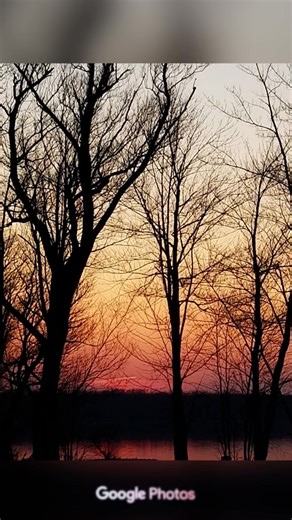 Scott D Williamson on Reels