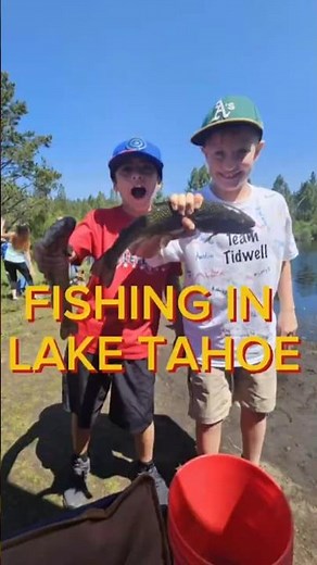 Lake Tahoe Fishing Adventure! Big catches, stunning views & nonstop action! # Fishing