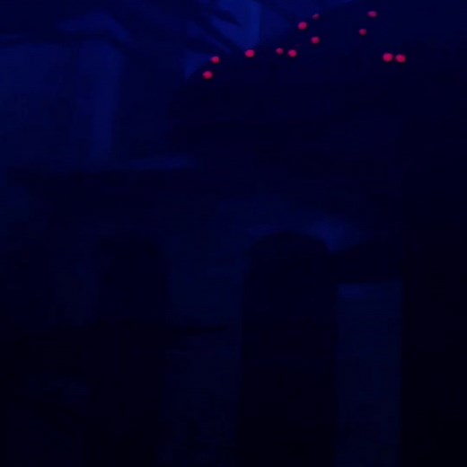 Exploring King Krill in the Sky | Sky Children of the Light Animation