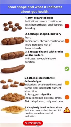 What Your Stool Shape Says About Gut Health 💩 #guthealth #healthfacts #bodyawareness #wellness