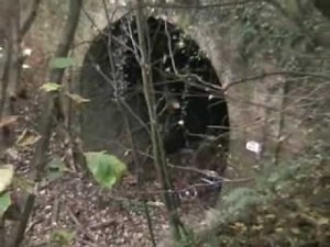 The Hawkhurst Branch Line - 48 years after closure