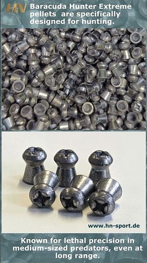 H&N Baracuda Extreme Pellets