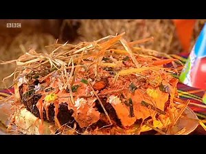 Big Barn Farm Series 2x12 Dashs Birthday Surprise