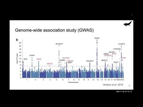 Constructing large-scale bioinformatics pipeline v2