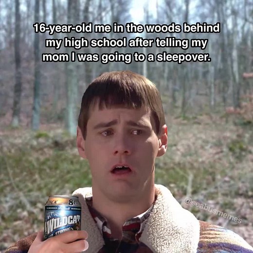 seabusmemes (@seabusmemesofficial)’s videos with original sound - seabusmemes