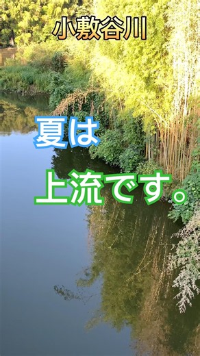 【バス釣り】#高滝湖バス釣り# #おかっぱり #陸釣り #fishing #釣り#陸王#バス釣り初心者 #バスフィッシング