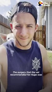 85-pound dog gives his dad the most enthusiastic hugs 🤣 | The Dodo