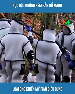 1.1M views · 15K reactions | Nọc độc không kém rắn hổ mang | Handy Zhong | Facebook