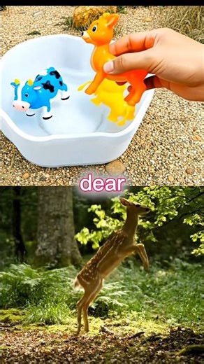 Learn Animals Name for babies | Toy vs Real Animals for Kids 🧸 | Crocodile, Deer and More