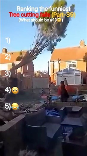 Top Funny Tree Cutting Fails Ranked 🌳 | Epic Fail Compilation😂