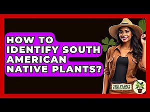How To Identify South American Native Plants? - The Plant Enthusiast