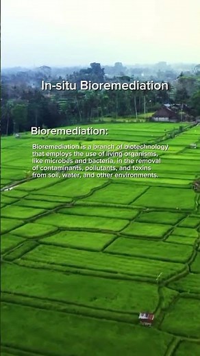 In-situ Bioremediation| #biodegradation #bioremediation #biosparging #conceptsofbotany