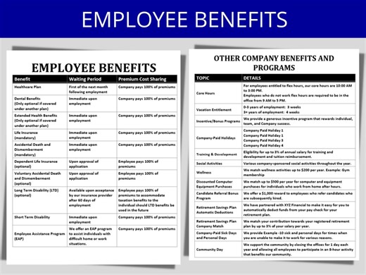 Employee Benefits Overview Template: HR Total Reward List (digital Download) - Etsy