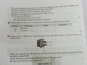 The given diagram represents the process of formation of a salt... | Filo