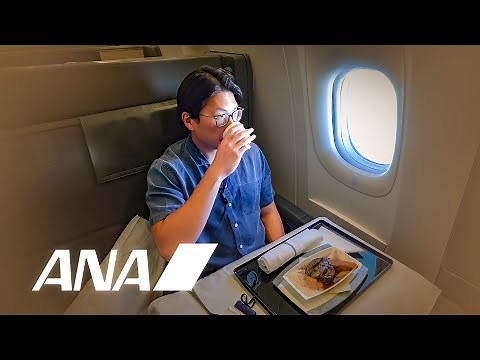 10 Hours in ANA New Business Class "The Room" - LA to Tokyo