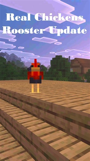 Real Chickens Rooster Update #devlog #minecraft #tutorial #minecraftaddon #gaming #minecraftaddonspe
