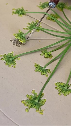 166K views · 6.9K reactions | Don’t dragonflies seem like magical...