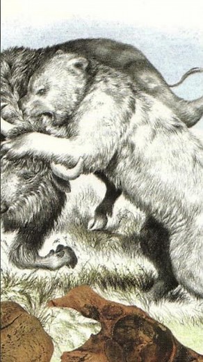 **The Giant Short-Faced Bear of North America – The Real Beast of the Ice Age!**
