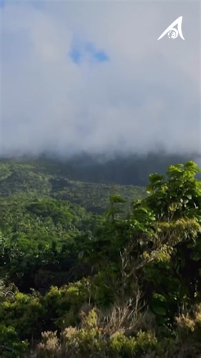 2025 marked a year of significant progress in advancing the mission of the Prince Albert II of Monaco Foundation. From high-level events to tangible progress in the field, this past year was driven by the science that guides action, the people and communities on the frontlines, the ocean that sustains life, and the innovative solutions that continue to give us hope. As we look ahead to 2026, the Foundation prepares to celebrate its 20th Anniversary: a milestone year honouring two decades of unwa