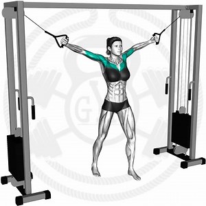 167K views · 6.6K reactions | Full chest workout 3x10 - 12 | Fitness routines | Facebook