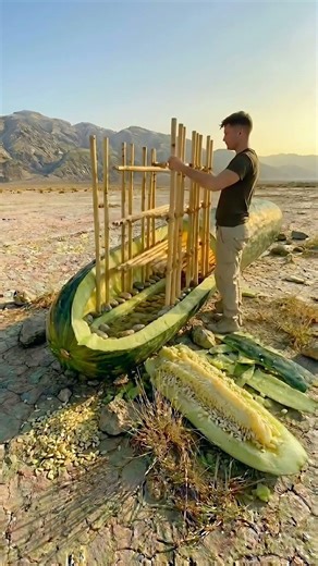 A Hidden Garden Inside a Giant Cucumber