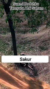 1.1M views · 17K reactions | Review Drakor terbaik 2025⭐ *Suami Bodohku Ternyata Ahli Saham* Review Film Terbaik 2025⭐ #Drama_china #Sub_Indo #Drama_Korea #Sakur #film #Review_Film #Drakor #drama #Fyp #Reelvideo #fbprofesional #fbprofesionaljangkauanluas | Sakur | Facebook