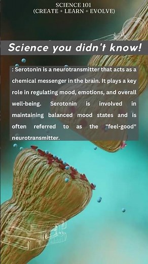 Serotonin simplified