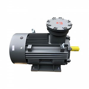 [Hot Item] Ybx3-2p 3kw-22kw IEC Ex Motor Explosion Proof Electric Motor Induction AC Motor Exdiibt4