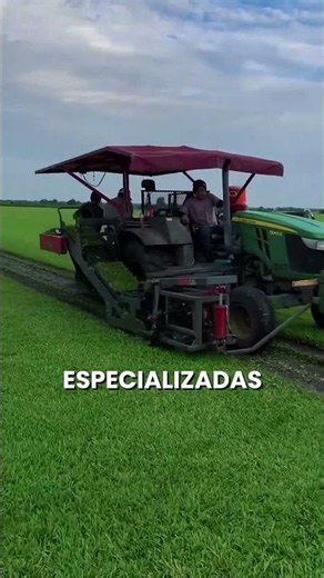 The secret behind the perfect stadium turf