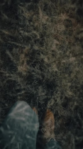 #Band #berlin #musik #rock #live