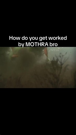 desghidorah isn't even weak either leo is just ridiculously fucking strong #mothra #mothraleo #godzilla #tokusatsu #kaijus fyp