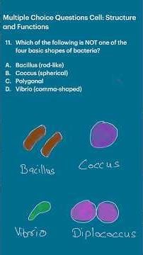 11-Multiple Choice Questions Cell: Structure and Functions #cellbiology, #biologyshorts