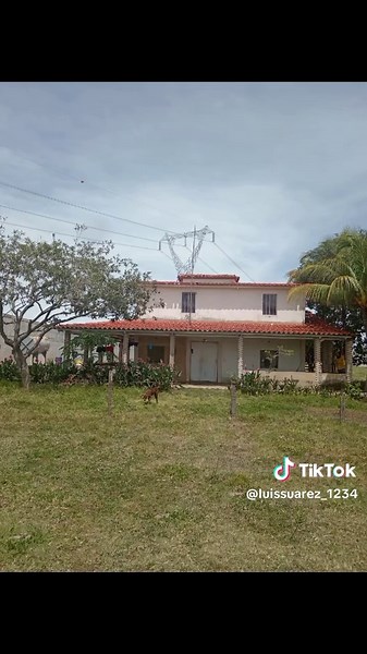 LUIS SUAREZ on TikTok