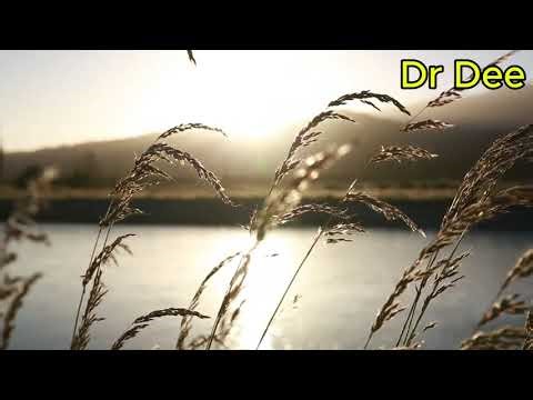 Best Music for Writing Essays and Reports | Study Music No Words