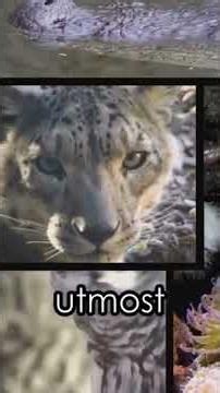 Australia's Top 10 Deadliest Animals! #DeadliestAnimals #AustraliaWildlife #AnimalFacts | Part 1