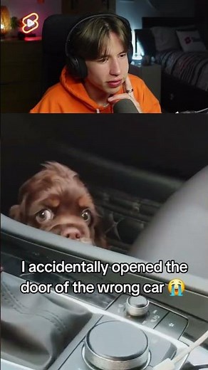 Puppy gets scared by stranger 🥺